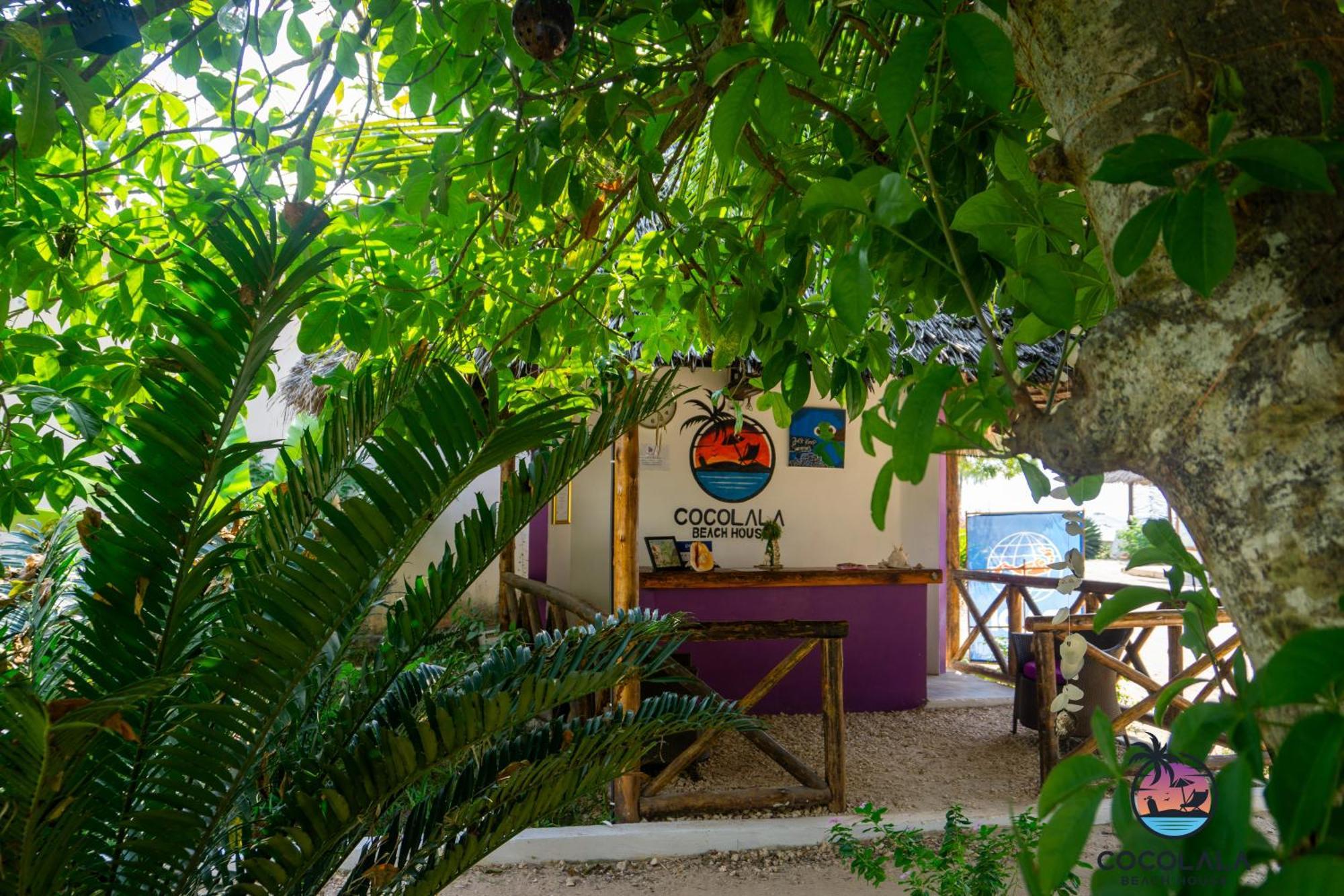 Cocolala Beach House Nungwi Buitenkant foto